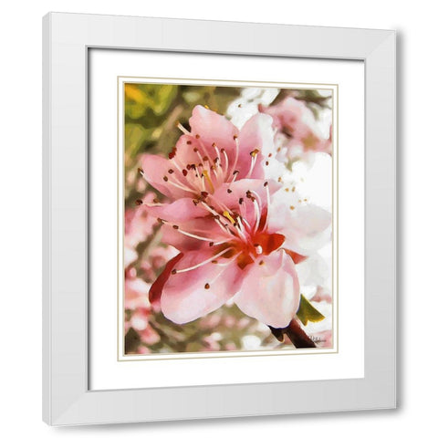 I like Flowers XX White Modern Wood Framed Art Print with Double Matting by Medeiros, Celito