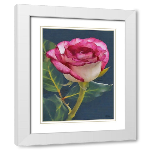 I like Flowers XXII White Modern Wood Framed Art Print with Double Matting by Medeiros, Celito