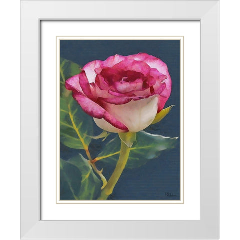 I like Flowers XXII White Modern Wood Framed Art Print with Double Matting by Medeiros, Celito