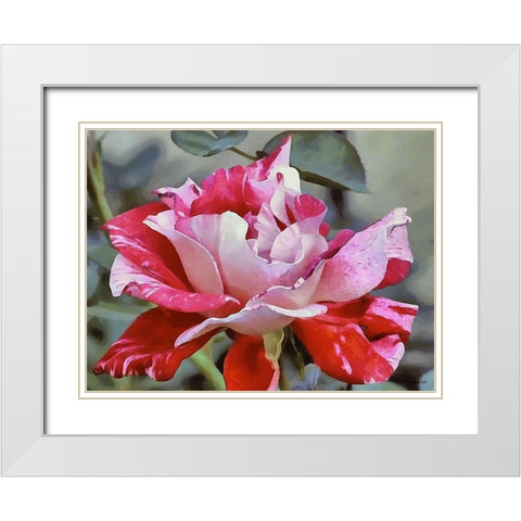 I like Flowers XXIV White Modern Wood Framed Art Print with Double Matting by Medeiros, Celito