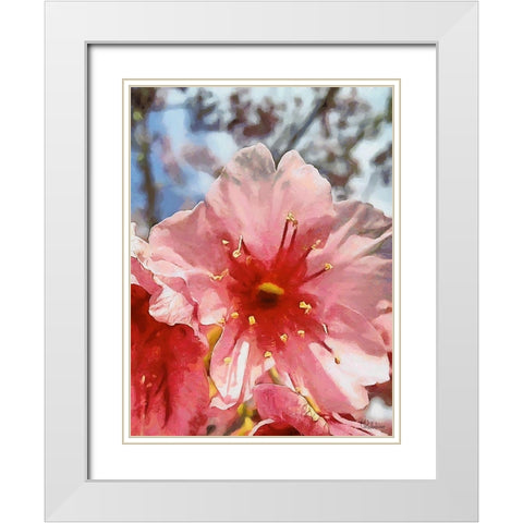 I like Flowers XXIX White Modern Wood Framed Art Print with Double Matting by Medeiros, Celito
