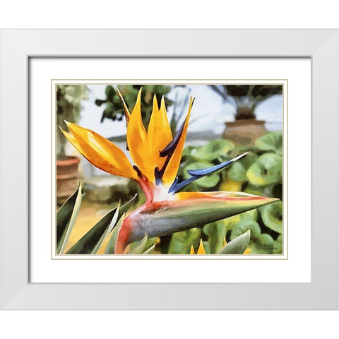 Yellow Orchid I White Modern Wood Framed Art Print with Double Matting by Medeiros, Celito