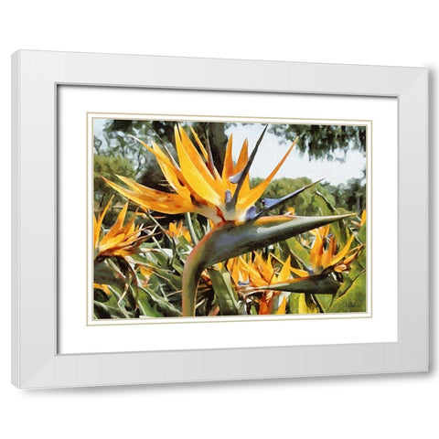 Yellow Orchid II White Modern Wood Framed Art Print with Double Matting by Medeiros, Celito