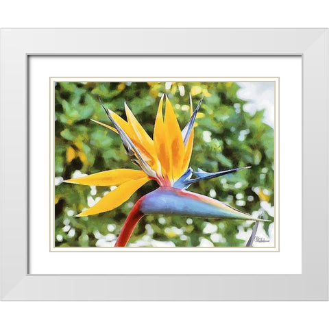 Yellow Orchid IV White Modern Wood Framed Art Print with Double Matting by Medeiros, Celito