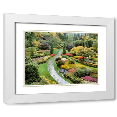Beautiful Garden III White Modern Wood Framed Art Print with Double Matting by Medeiros, Celito
