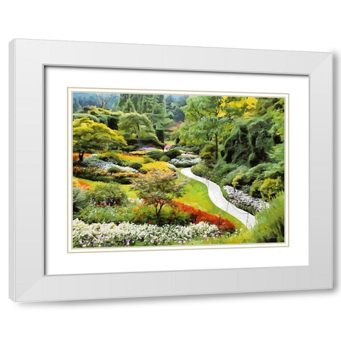 Beautiful Garden IV White Modern Wood Framed Art Print with Double Matting by Medeiros, Celito
