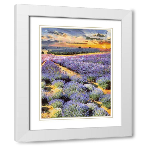 Lavender Field II White Modern Wood Framed Art Print with Double Matting by Medeiros, Celito