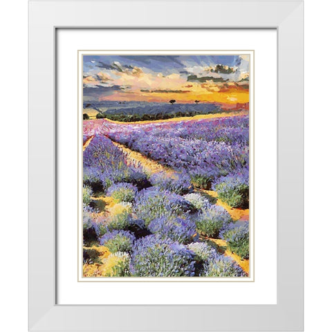 Lavender Field II White Modern Wood Framed Art Print with Double Matting by Medeiros, Celito