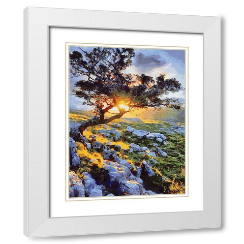 Sunset behind a Tree II White Modern Wood Framed Art Print with Double Matting by Medeiros, Celito