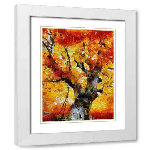Collectio of Bloomin and Autumn Trees II White Modern Wood Framed Art Print with Double Matting by Medeiros, Celito