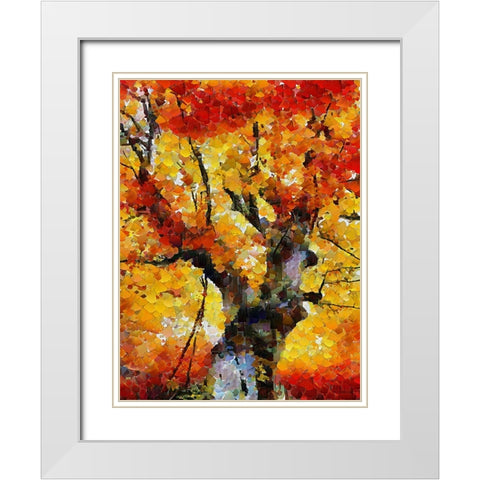 Collectio of Bloomin and Autumn Trees II White Modern Wood Framed Art Print with Double Matting by Medeiros, Celito