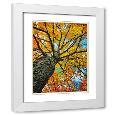 Collectio of Bloomin and Autumn Trees IV White Modern Wood Framed Art Print with Double Matting by Medeiros, Celito