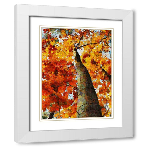 Collectio of Bloomin and Autumn Trees VI White Modern Wood Framed Art Print with Double Matting by Medeiros, Celito