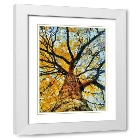 Collectio of Bloomin and Autumn Trees VIII White Modern Wood Framed Art Print with Double Matting by Medeiros, Celito