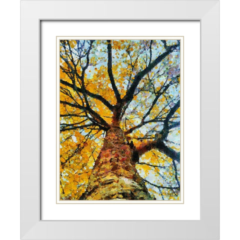 Collectio of Bloomin and Autumn Trees VIII White Modern Wood Framed Art Print with Double Matting by Medeiros, Celito