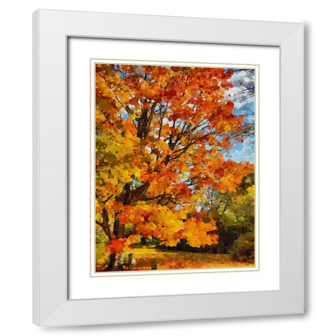 Collectio of Bloomin and Autumn Trees XXIII White Modern Wood Framed Art Print with Double Matting by Medeiros, Celito