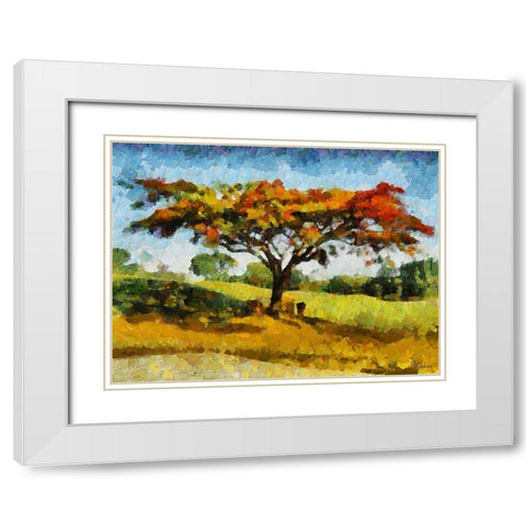 Collectio of Bloomin and Autumn Trees XXV White Modern Wood Framed Art Print with Double Matting by Medeiros, Celito