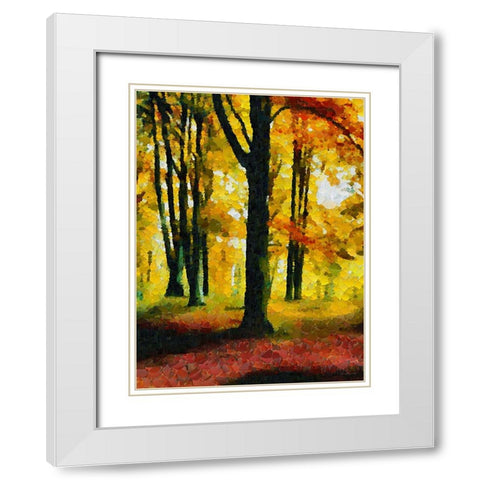 Collectio of Bloomin and Autumn Trees XXVI White Modern Wood Framed Art Print with Double Matting by Medeiros, Celito