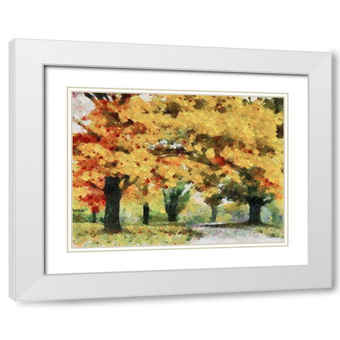 Collectio of Bloomin and Autumn Trees XXXVII White Modern Wood Framed Art Print with Double Matting by Medeiros, Celito