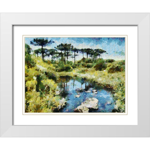 Collectio of Bloomin and Autumn Trees XL White Modern Wood Framed Art Print with Double Matting by Medeiros, Celito