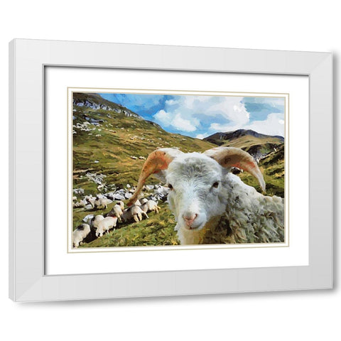Sheep and Goat Collection I White Modern Wood Framed Art Print with Double Matting by Medeiros, Celito