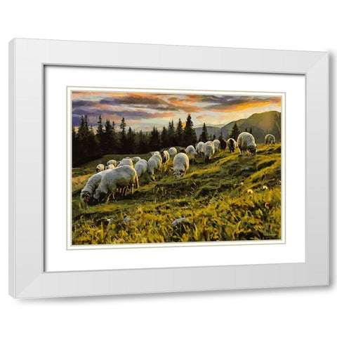 Sheep and Goat Collection II White Modern Wood Framed Art Print with Double Matting by Medeiros, Celito