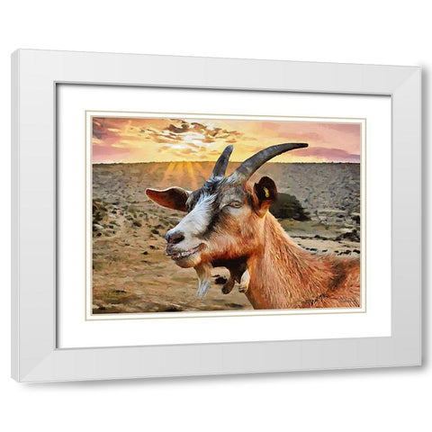 Sheep and Goat Collection IV White Modern Wood Framed Art Print with Double Matting by Medeiros, Celito