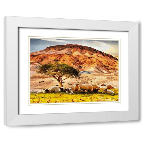 Sheep and Goat Collection VIII White Modern Wood Framed Art Print with Double Matting by Medeiros, Celito