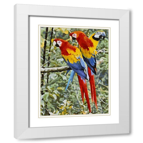 Three Parrots White Modern Wood Framed Art Print with Double Matting by Medeiros, Celito