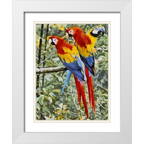 Three Parrots White Modern Wood Framed Art Print with Double Matting by Medeiros, Celito