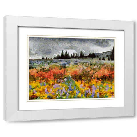 Colorful Meadow with Black and White Sky White Modern Wood Framed Art Print with Double Matting by Medeiros, Celito