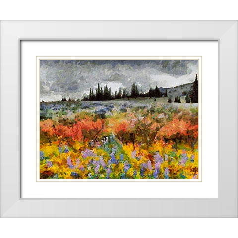 Colorful Meadow with Black and White Sky White Modern Wood Framed Art Print with Double Matting by Medeiros, Celito