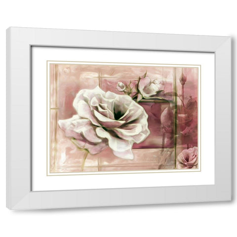 Rose with Pink Background White Modern Wood Framed Art Print with Double Matting by Medeiros, Celito