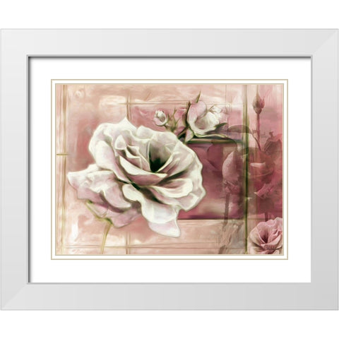 Rose with Pink Background White Modern Wood Framed Art Print with Double Matting by Medeiros, Celito