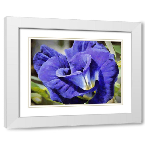 Big Purple Flower White Modern Wood Framed Art Print with Double Matting by Medeiros, Celito