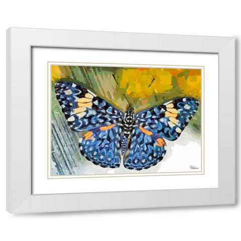 Butterfly Wings V White Modern Wood Framed Art Print with Double Matting by Medeiros, Celito
