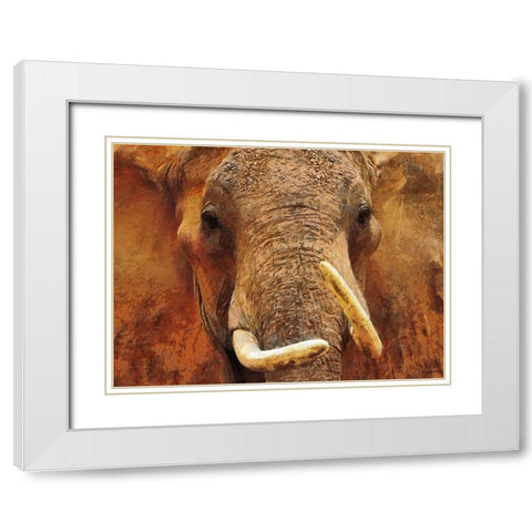 An Elephant White Modern Wood Framed Art Print with Double Matting by Medeiros, Celito