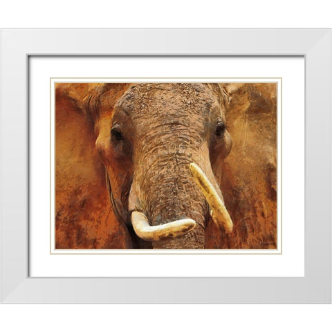An Elephant White Modern Wood Framed Art Print with Double Matting by Medeiros, Celito