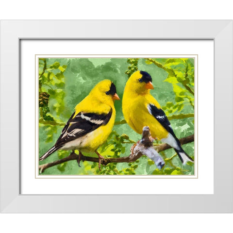 Bird Song I White Modern Wood Framed Art Print with Double Matting by Medeiros, Celito