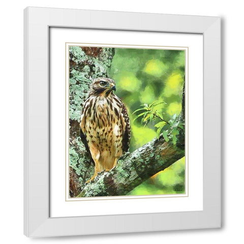 Falcon White Modern Wood Framed Art Print with Double Matting by Medeiros, Celito