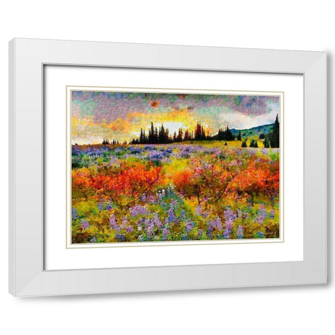 Sunset over the Meadow White Modern Wood Framed Art Print with Double Matting by Medeiros, Celito