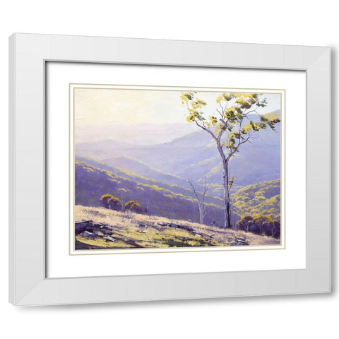 Afternoon Light Baathurst White Modern Wood Framed Art Print with Double Matting by Gercken, Graham