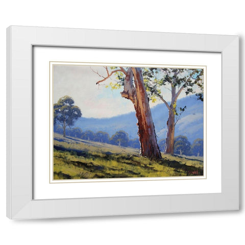 Tumut Gum Trees White Modern Wood Framed Art Print with Double Matting by Gercken, Graham