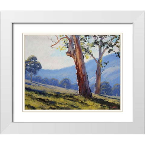 Tumut Gum Trees White Modern Wood Framed Art Print with Double Matting by Gercken, Graham