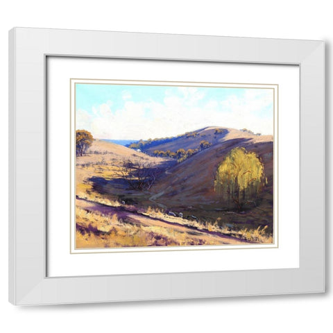 Summer Shadows Kanimbla White Modern Wood Framed Art Print with Double Matting by Gercken, Graham
