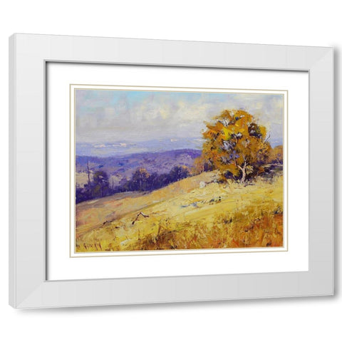 Sheep Grazing Australia White Modern Wood Framed Art Print with Double Matting by Gercken, Graham