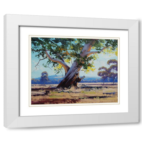 Old River Gum Tree White Modern Wood Framed Art Print with Double Matting by Gercken, Graham
