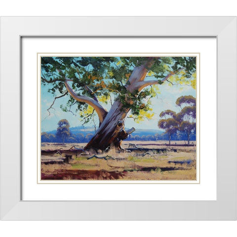Old River Gum Tree White Modern Wood Framed Art Print with Double Matting by Gercken, Graham
