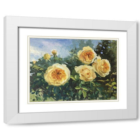 Garden Rose III White Modern Wood Framed Art Print with Double Matting by Strube, Ling
