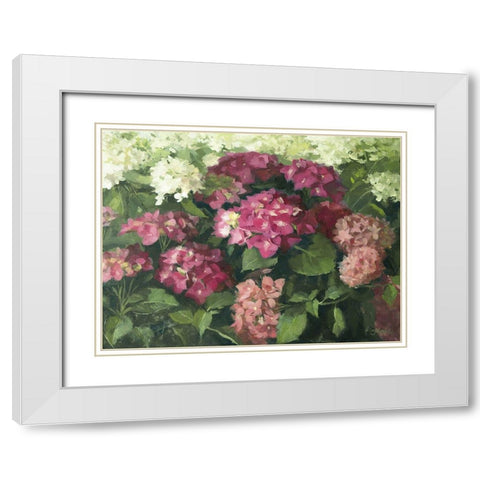 German Hydrangeas White Modern Wood Framed Art Print with Double Matting by Strube, Ling